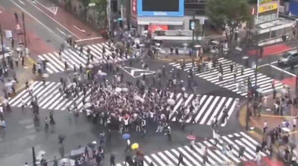 japonezii s au bucurat fix 40 de secunde pentru egalul cu olanda de la cm 2026 pentru ca atat dureaza verdele in intersectia shibuya