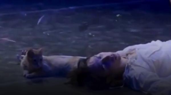 O pisică a preluat controlul pe scenă în ultimul act din spectacolul de balet Romeo și Julieta