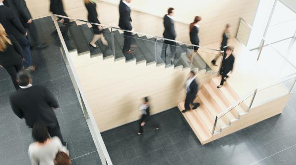 o companie a renuntat complet la sefi toti cei peste 500 de angajatii iau impreuna deciziile