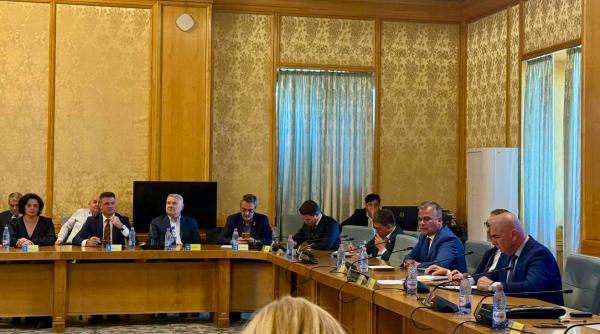 consiliul national al pnl se reuneste vineri pentru convocarea unui congres extraordinar al partidului