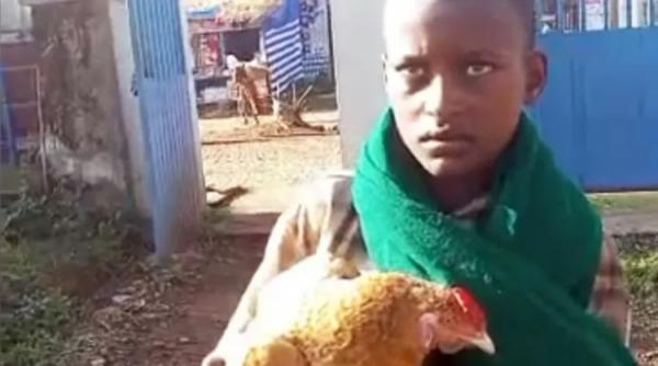 respira greu speriat ca o va pierde un copil a incercat sa si interneze gaina bolnava in spital gestul sau a devenit viral