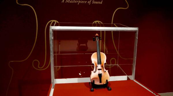ce au descoperit cercetatorii in lemnul viorilor stradivarius misterul rezolvat dupa sute de ani