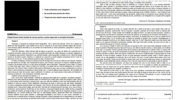 cum au aparut subiectele la romana de la evaluarea nationala 2026 pe grupurile de parinti la scurt timp dupa inceperea examenului