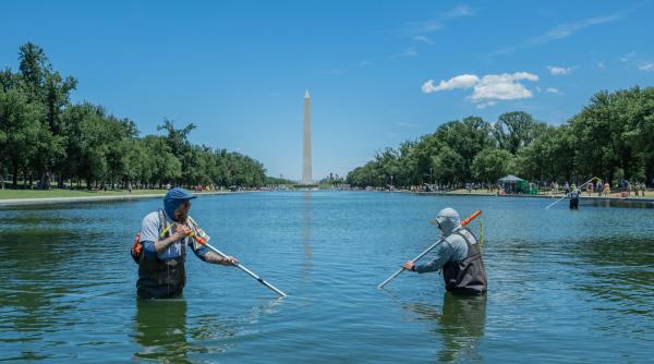 bazinul reflectorizant din washington va fi golit dupa ce apa a devenit verde din cauza algelor trump acuza si acte de vandalism