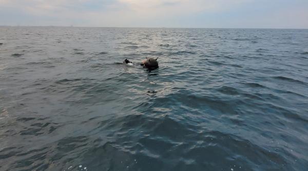 mai cumpara sisteme de detectie si monitorizare a dronelor marine romania testeaza si sistemul autonom triton in marea neagra