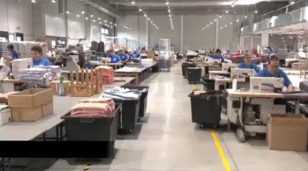 fabrica din oradea unde angajatii vin la munca exact ca acasa oamenii fac sport in timpul programului si culeg legume bio