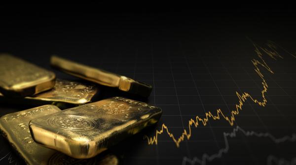 o mare companie exportatoare de aur cu venituri de 81 de miliarde de dolari si a platit directorul general cu 180 de dolari pe luna