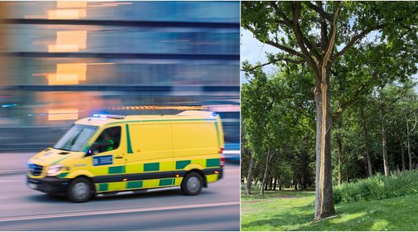 un fulger a lovit un copac intr un parc de distractii din suedia o femeie a ajuns la spital in stare grava