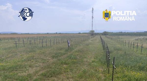 azilele groazei in bihor sute de batrani tinuti in conditii mizere pentru pensii si donatii cand mureau erau ingropati pe camp