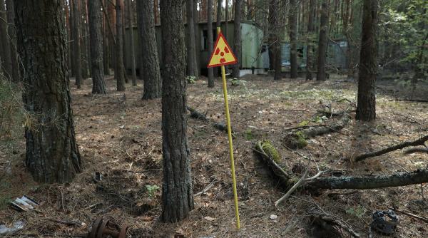 animalele salbatice din zona de excludere de la cernobil se comporta complet diferit de la inceputul invaziei rusiei in ucraina