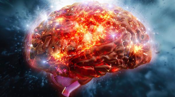 neurostiinta moderna redescopera o idee pe care freud a avut o acum 130 de ani