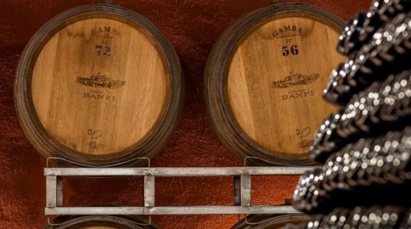 3 000 de sticle de vin de colectie au fost furate dintr o crama din italia