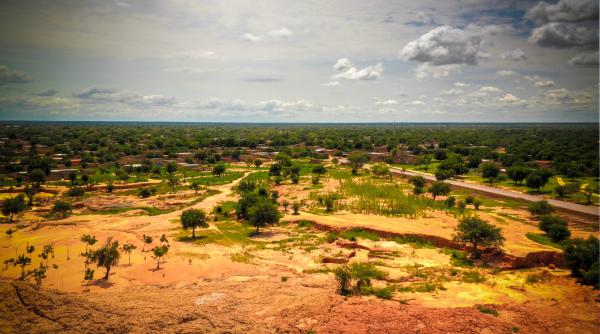 marele zid verde din africa zidul copacilor se construieste pe 8 000 km pentru a restaura terenurile si a hrani milioane de oameni