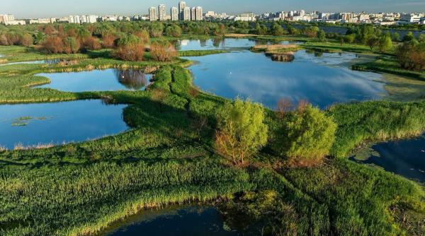 bucurestiul ar putea avea o centura verde intinsa pe 250 de hectare primaria vrem sa crestem suprafata de spatiu verde pe locuitor