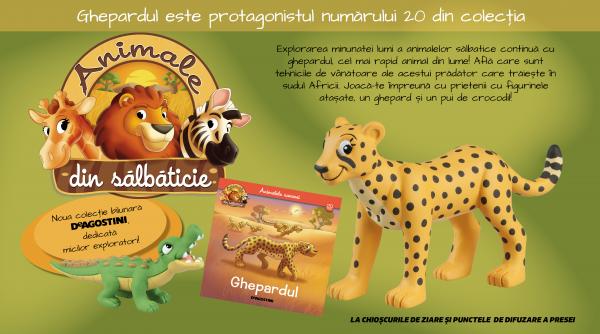 ghepardul este eroul numarului 20 al colectiei animale din salbaticie la chioscuri din 7 iulie