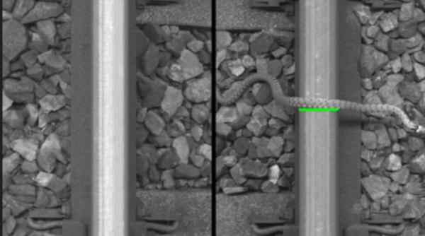 inteligenta artificiala a confundat un sarpe care traversa o cale ferata cu un defect la o sina