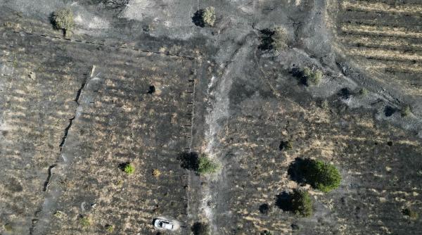 cum se vad de sus incendiile record din europa cum au contribuit indirect la producerea lor ploile abundente de la inceput de an