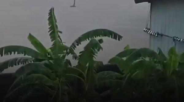Peste 900 de șerpi au scăpat de la o fermă, în inundațiile din China. Imagini ca în Jurassic Park
