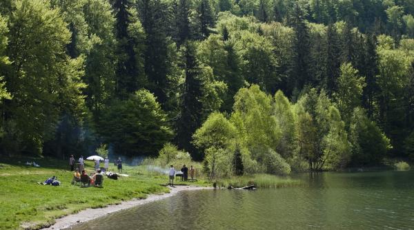 accesul la lacul sfanta ana va fi schimbat din aceasta saptamana tinovul mohos va putea fi vizitat fara ghid