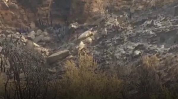 Regiunea Almería a fost mistuită de flăcări. Pompierii din Spania nu au reușit încă să țină sub control incendiile puternice