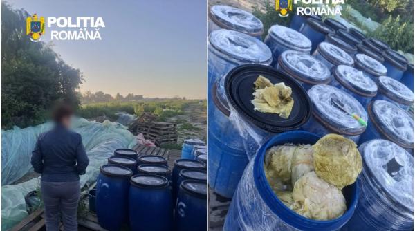 s au descoperit 8 tone de varza murata ingropate in pamant in dambovita toata cantitatea a fost distrusa