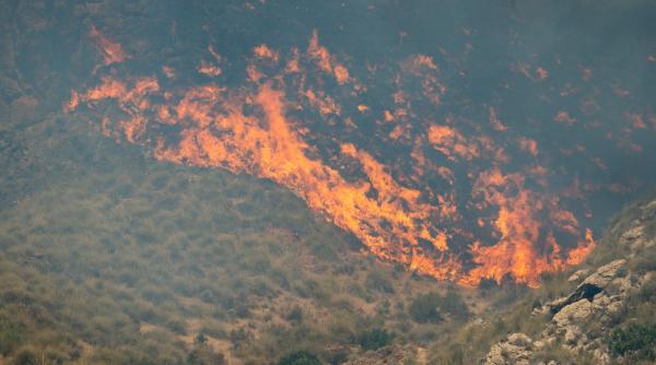 cine sunt victimele din incendiul de vegetatie din almeria considerat unul dintre cel mai grave din istoria recenta a spaniei