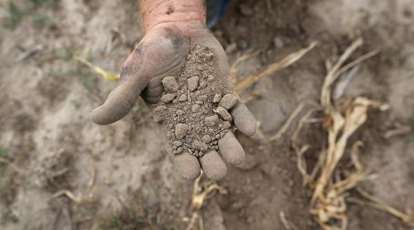 cum va schimba incalzirea globala agricultura lumii harta interactiva care arata zonele cele mai afectate pana in 2100