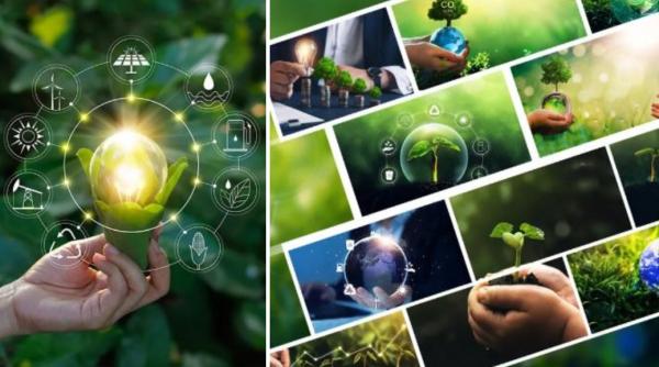 premier energy group il numeste pe adrian tanase in functia de membru interimar al consiliului de administratie