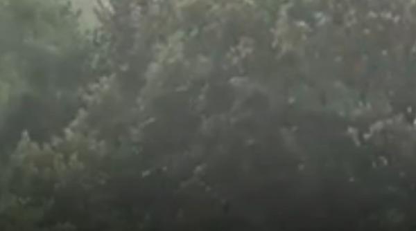 Alertă imediată de la ANM. Cod roșu de furtună puternică în București. A fost emis RO-Alert 