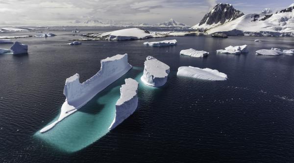 oamenii de stiinta au descoperit un oras subacvatic cu 60 de milioane de cuiburi de pesti sub gheata antarcticii
