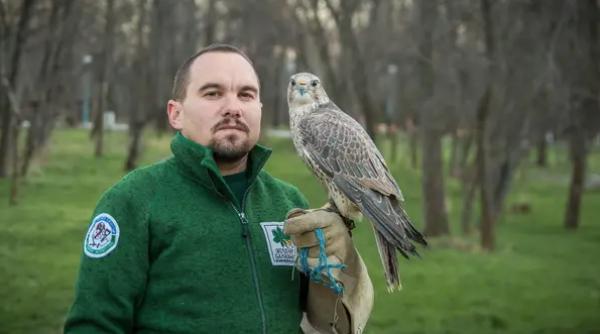 romeo a devenit cel mai batran soim dunarean a atins recordul de 32 de ani si locuieste acum in sectorul casa alba