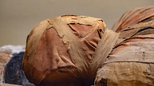 arheologii egipteni au gasit un fragment din iliada lui homer pe o mumie veche de 1 600 de ani