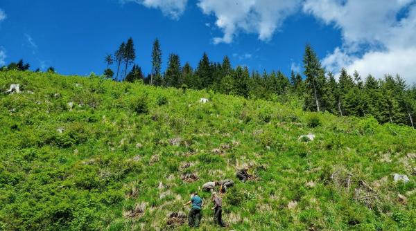 guvernul adopta strategia nationala pentru conservarea biodiversitatii 2026 2030 buzoianu 1 miliard de euro din pnrr raman in tara