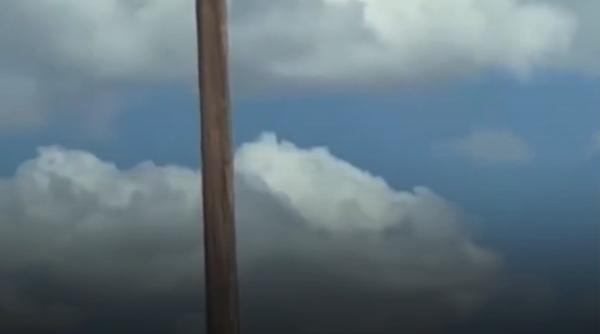Imagini virale cu un urs cățărat pe un stâlp de electricitate. Finalul nu a fost fericit