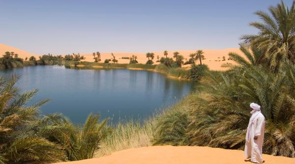 inginerii francezi au crezut candva ca transformarea unei bucati din sahara intr o mare ar putea face desertul african fertil