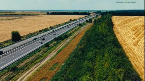sute de mii de duzi macesi si visini turcesti au aparut la marginea autostrazii soarelui romsilva le explica rolul asigura protectie