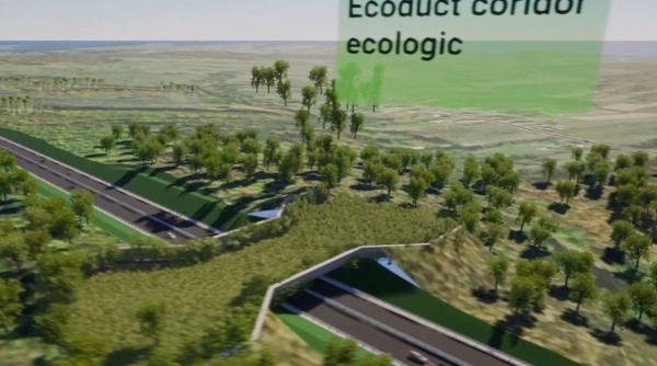 cum va arata lotul 6 al drumului expres craiova targu jiu va avea aproape 20 de kilometri si va include un ecoduct