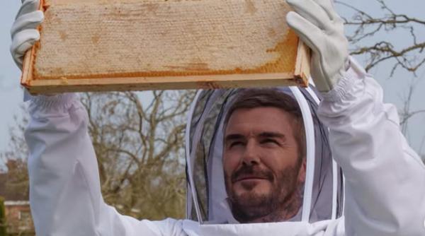si gradina de legume a lui david beckham este afectata de valul de canicula recent el se lauda cu primele roade