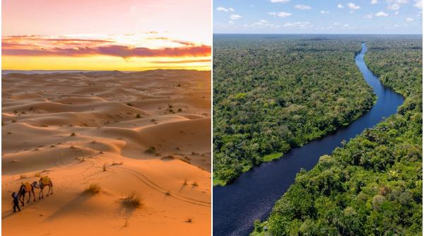 sahara trimite 27 de milioane de tone de praf peste atlantic in fiecare an efectul asupra amazonului este uimitor