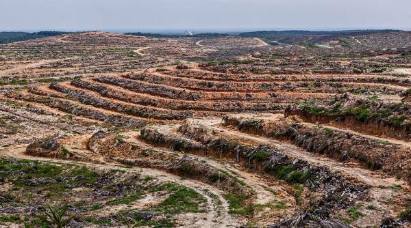 schimbarile climatice ar putea rescrie planeta pana in 2050 impactul ar echivala cu 3 3 milioane de ani de transformari ale planetei