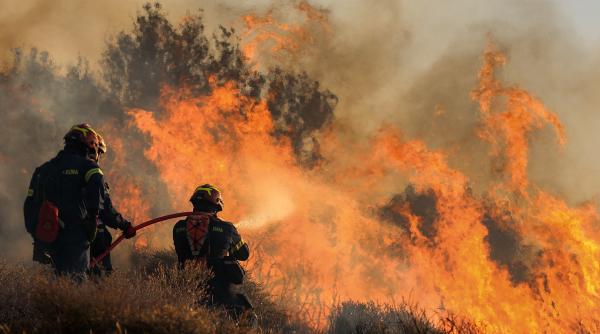 incendii devastatoare in creta si peninsula peloponez trei pompieri greci au murit in timp ce incercau sa stinga flacarile