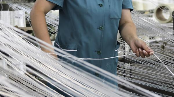Fibra de sticlă chinezească ar putea deveni mai ieftină în Europa în ciuda taxelor UE