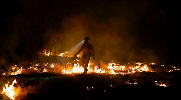 costurile incendiilor de vegetatie din europa au depasit deja 3 miliarde de euro in acest an