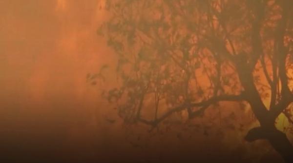 Un "megaincendiu" din Grecia a mistuit o suprafață dublă față de Manhattan. Insula Kefalonia a fost evacuată