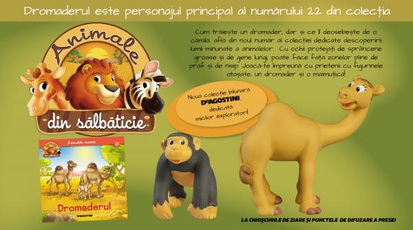 dromaderul vine din desert in paginile colectiei animale din salbaticie numarul 22 la chioscuri din 4 august