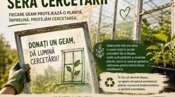 cercetatorii de la statiunea legumicola din buzau fac apel la donatii de geamuri vechi pentru serele distruse de furtuni
