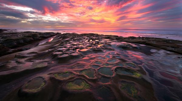 plaja care se transforma in sute de acvarii naturale piscinele ascunse apar doar cand oceanul se retrage cum arata la jolla