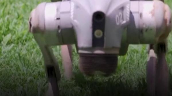 Câini-roboți în locul agenților de pază: noua soluție de securitate din Atlanta