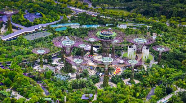 singapore planteaza 1000000 de copaci ca sa racoreasca strazile dar cel mai mare impact va fi de fapt in facturi la aer conditionat