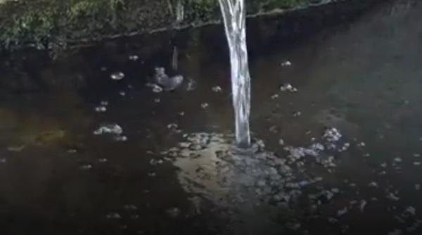 Disperarea oamenilor care au rămas fără apă la robinet. Cum se descurcă